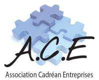 logo-ace