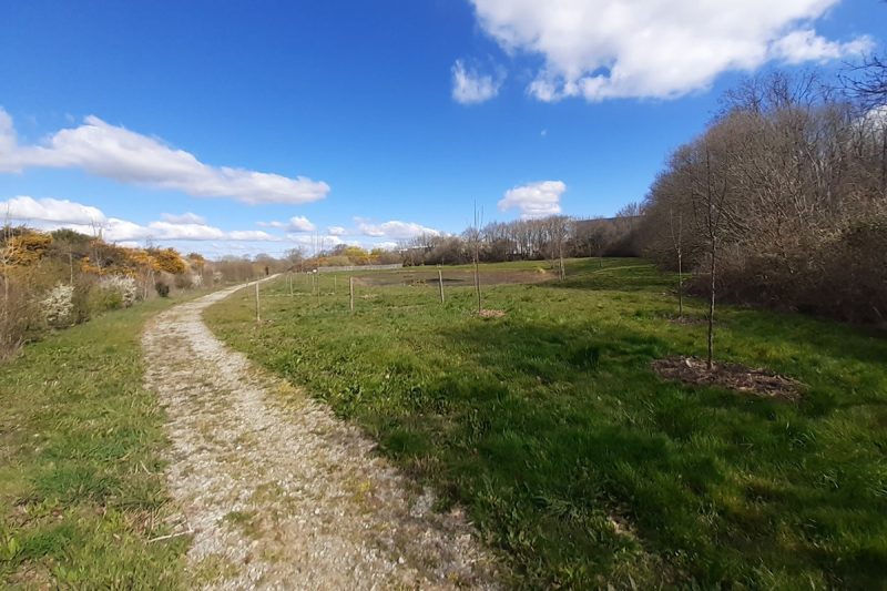 parc-dactivites-de-brais-nouveau-sentier-pedestre